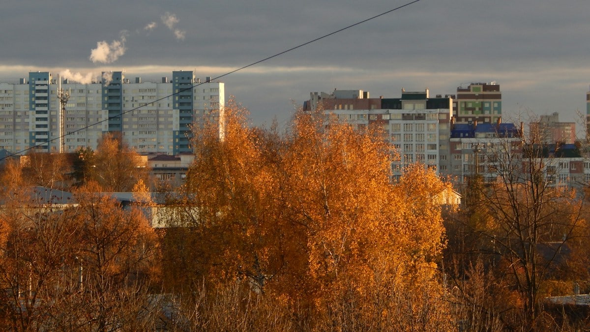 Autumn trees in front of city buildings